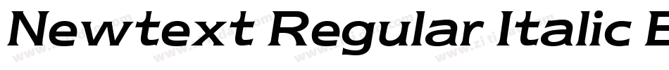 Newtext Regular Italic BT字体转换